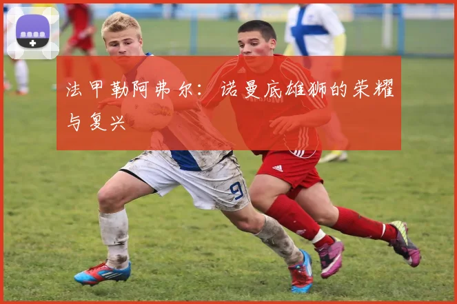 法甲勒阿弗尔：诺曼底雄狮的荣耀与复兴