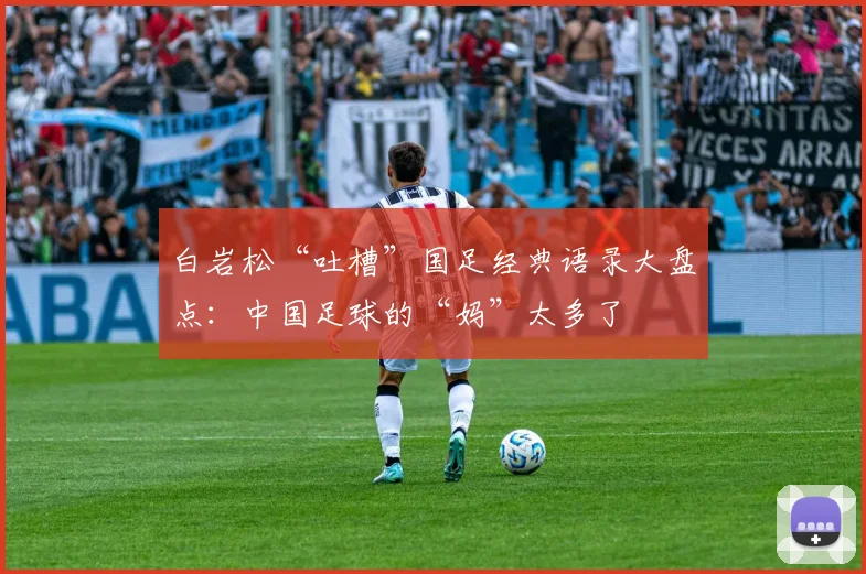 白岩松“吐槽”国足经典语录大盘点：中国足球的“妈”太多了