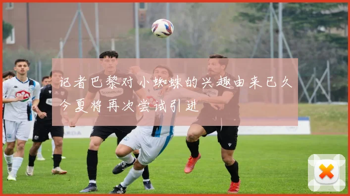 记者巴黎对小蜘蛛的兴趣由来已久今夏将再次尝试引进
